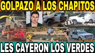 LE CAYERON a la CHAPIZA mega DECOMISO por parte del EJÉRCITO MEXICANO en Tepuche [upl. by Eidnahs]