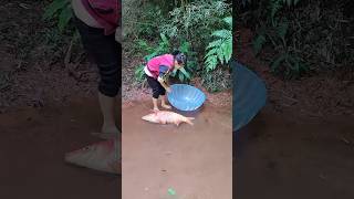 Fishing challenge squirrel hunting amazon fishing rod fishing videos [upl. by Neeruam421]