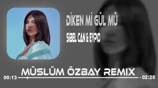 Sibel Can amp Eypio  Diken Mi Gül Mü  Müslüm Özbay Remix  Sen Bülbüle Gel [upl. by Llibyc155]