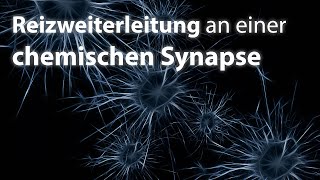 Reizweiterleitung an einer chemischen Synapse [upl. by Ahtanamas]