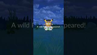 The case of the uncatchable Pikachu and other weird glitches [upl. by Gnort601]