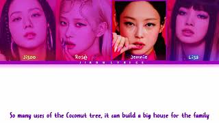 BLACKPINK AI COVER How Would BLACKPINK sings BINI  DA COCONUT NUT Color Coded Lyrics [upl. by Odnalref123]