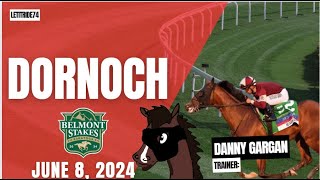 Dornoch Belmont Stakes 2024 Preview [upl. by Lombardo]