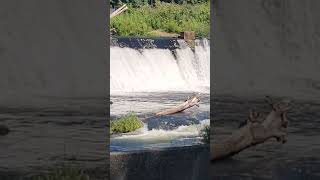 Relaxing Tumwater Falls Sounds [upl. by Anneiv]