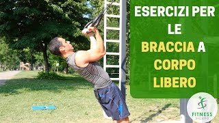 Allenamento sicuro a CORPO LIBERO delle BRACCIA pettorali bicipiti tricipiti spalle [upl. by Solorac]