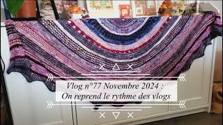 Vlog n°77  Novembre 2024 On reprend le rythme des vlogs [upl. by Llyrpa200]