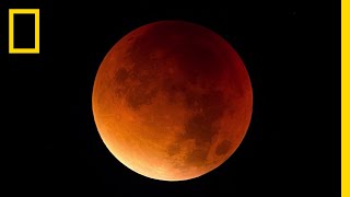 Lunar Eclipse 101  National Geographic [upl. by Ahsino]