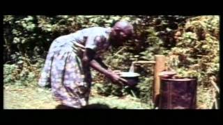 Documentary Wangari Muta Maathai 1940  2011 [upl. by Duaner]