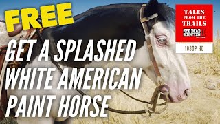 🗣 RDR2 Where to find Splashed White American Paint Horse  Uncommon  1080p HD [upl. by Lynden]