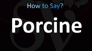 How to Pronounce Porcine CORRECTLY [upl. by Bay]