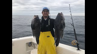 1221 Offshore Sea Bass Fishing [upl. by Lauraine]