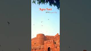 Agra fort… AgraTaj Mahalred fortindia laal qila agra fort [upl. by Molini]