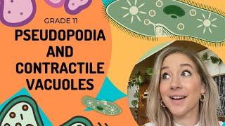 Protista  PSEUDOPODIA and CONTRACTILE VACUOLE [upl. by Narine]