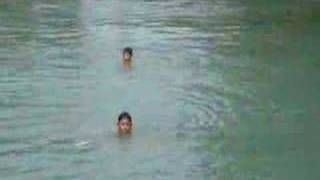 Boys swim in Loboc river [upl. by Falzetta]