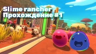 Slime Rancher прохождение 1 [upl. by Cimah]