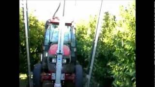 Edge trimmer for pruning orchards Podadora frutales de cuchillas [upl. by Laon]