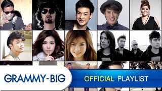 รวมเพลงฮิตฟังสบายๆ  MP3 Hits Playlist Vol4 GRAMMY BIG [upl. by Mellicent]