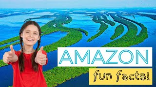 Amazon Rainforest FactsFun QuizHomeschool Kids [upl. by Rotman]