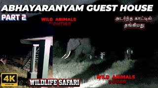 🔥Thrill Night Stay  Tuskers Encounter  Mudumalai Abhyaranyam Forest House SimbaaVlogs [upl. by Anaeda688]