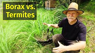 Protect Your Garden from Termites with Borax [upl. by Atirma]