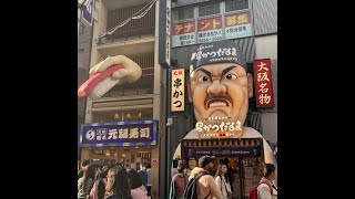 Osaka A Solo Travelers Insight Day 2 Dotonbori [upl. by Madalyn902]