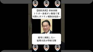 『【国民負担】岸田首相、トリガー条項ガン無視で夏以降もガソリン補助金延長へ』に対する世間の反応 [upl. by Kennet]