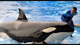 The 7 Most Powerful Quotes From Blackfish [upl. by Atnamas146]