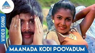 Maanada Kodi Song  Muthal Vasantham  Sathyaraj  Pandiyan  Ramya Krishnan  Pyramid Glitz Music [upl. by Goober239]