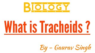 What is Tracheids   By  Gaurav Singh [upl. by Ennayelhsa]