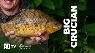 Phil Spinks Specimen Series – BIG Crucian Carp [upl. by Benia]