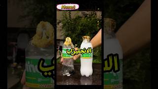 بقولها يا ابله ميس 🤣 [upl. by Netty]