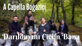 A Capella Boğaziçi  Darıldın mı Cicim Bana Hariklaki [upl. by Zehe108]