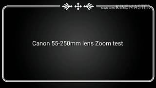 Canon 55250mm lens Vs Nikon 70300mm lens Zoom test Comparison videos  Nikon vs Canon [upl. by Eromle]