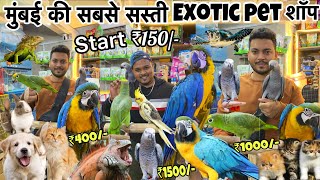 Start ₹150😱 सबसे सस्ती शॉप  Animals  Birds  cheapest Pet market in Mumbai  Wajid pet shop [upl. by Dnalyaw]