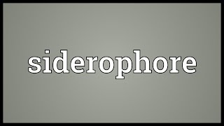 Siderophore Meaning [upl. by Oner]