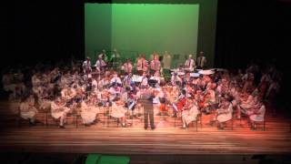 The Weasley Stomp  Middle School Symphony Orchestra [upl. by Gile]