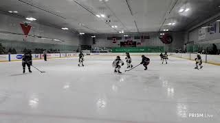 202425 U11B Nepean Wildcats vs Ennismore Eagles Kanata Tournament Game2 20241115 [upl. by Schiffman466]