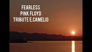 Fearless  Pink Floyd tribute ECamelio [upl. by Areit]