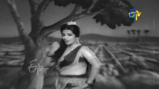 Rayanti Naa Mogudu Full Video Song  Tata Manavadu  S V Ranga Rao  Anjali Devi  ETV Cinema [upl. by Grani635]