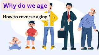 Why do our bodies age Are scientists learning to reverse aging [upl. by Honeyman]