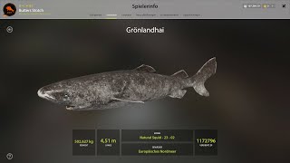 Russian Fishing 4  Norwegian Sea  500 KG Greenlandshark [upl. by Nnylyrehc]