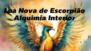 Lua Nova de Escorpião  Alquimia interior [upl. by Acinyt]