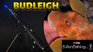 CATCH REPORT BUDLEIGH SALTERTON Sea Fishing on Neap Tides UK Jurassic Coast Night Angling 2021 [upl. by Ridan]