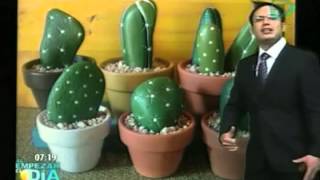 Macetas decoradas con piedras que simulan ser cactus  Inventos ultiles [upl. by Stasny]