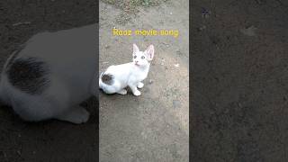 Raaz movie song love music song bollywood nature old hindi song bollywoodmusic [upl. by Llenwad903]