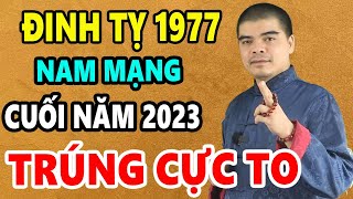 Tử Vi Tuổi Đinh Tỵ 1977 Nam mạng 6 tháng cuối Năm 2023 Sẽ GIÀU NHANH Chóng Mặt CỰC GIÀU Ôm Tiền Tỷ [upl. by Aniretak]