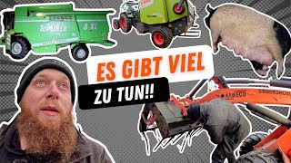 FarmVLOG918  Mitte Dezember kommt der Mähdrescher raus [upl. by Madelena]