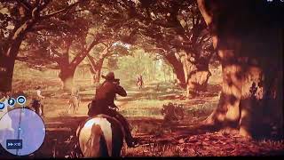 Rdr2 Dark Bay Turkoman Horse rdr2 fyp [upl. by Ardnas]