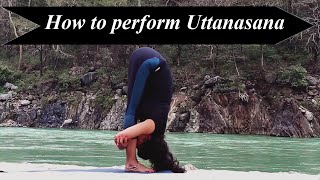 Uttanasana  Hastapadasana  Padahastasana  Standing Forward Bend  Upward Forward Fold [upl. by Particia]