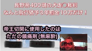 長野県400頭の犬を虐◯した繁殖屋への判決は、執行猶予3年と罰金10万円だけ [upl. by Sander238]